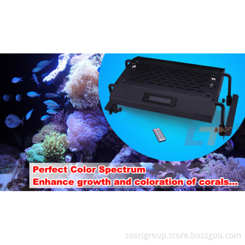 Intelligent Remote Controller Automatic Operation Mode 24inch 36inch 48inch CREE LED Aquarium Lighting for Coral